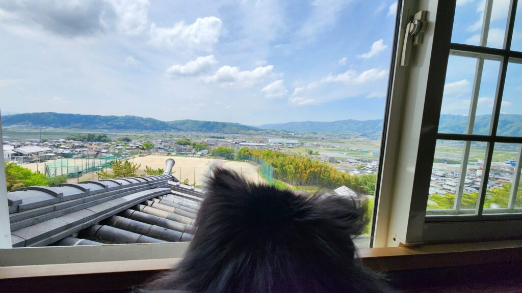 天守閣からの見晴らし